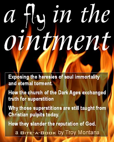 cover of 'A Fly in the Ointment'